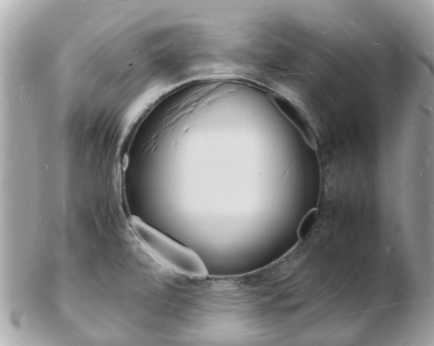 X0000103291472200808291057