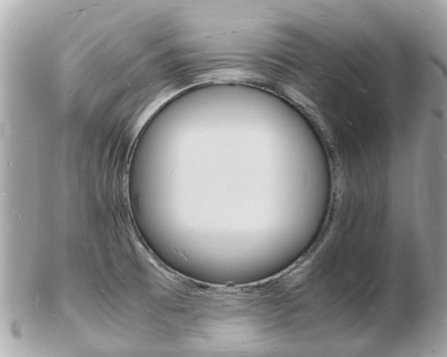 X0000103291473200808291057