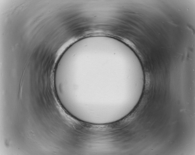 X0000103291474200808291057