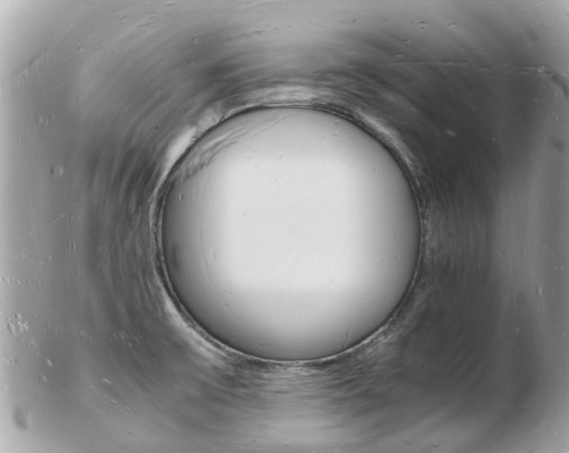 X0000103291475200808291057