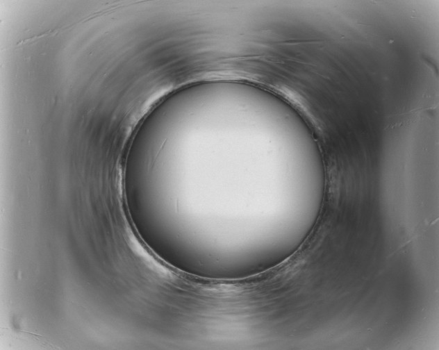 X0000103291476200808291057