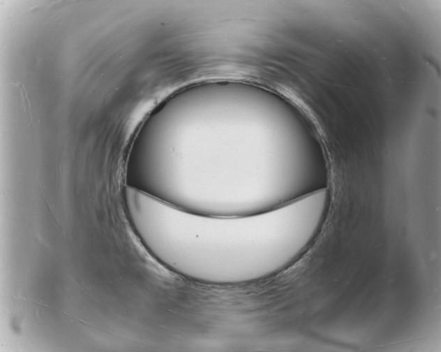 X0000103291477200808291057