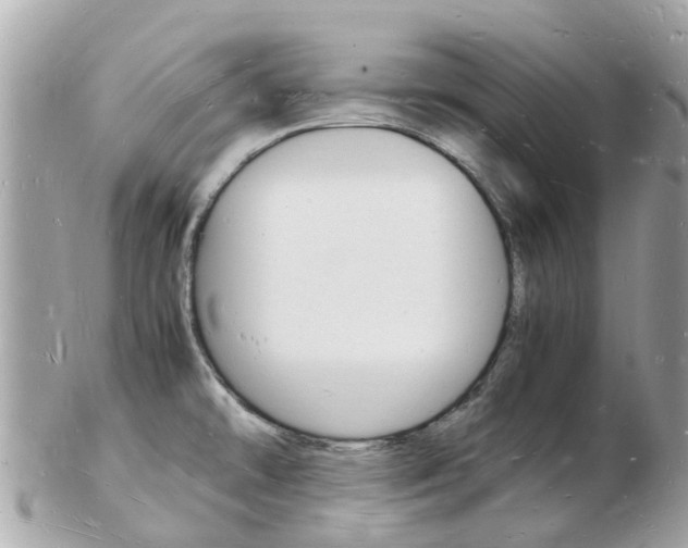 X0000103291478200808291057
