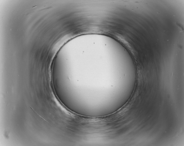 X0000103291479200808291057