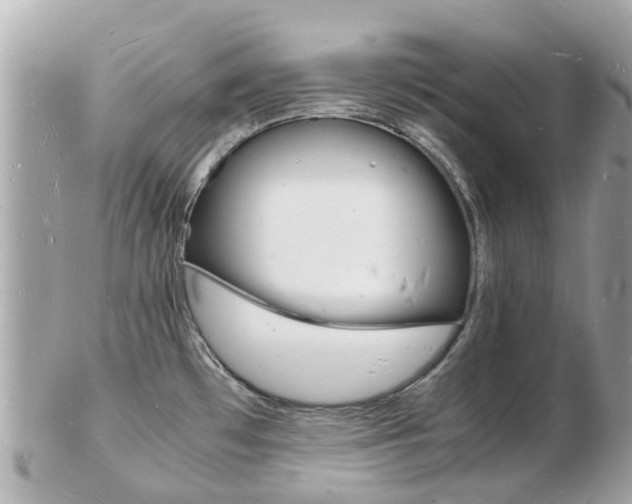 X0000103291481200808291057