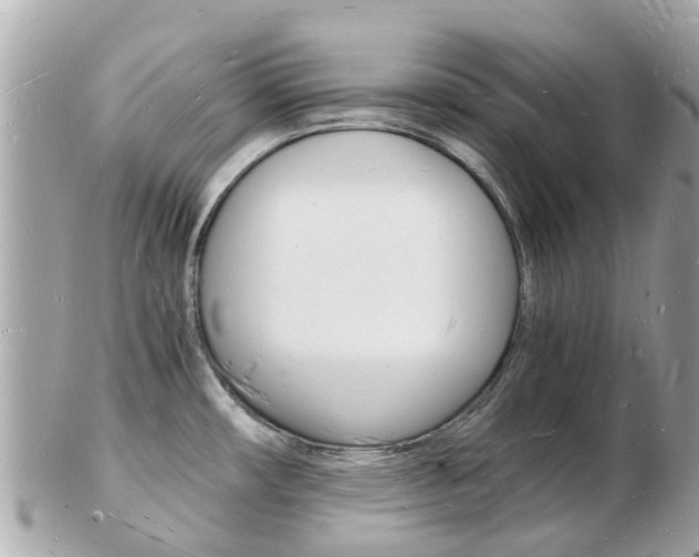 X0000103291482200808291057