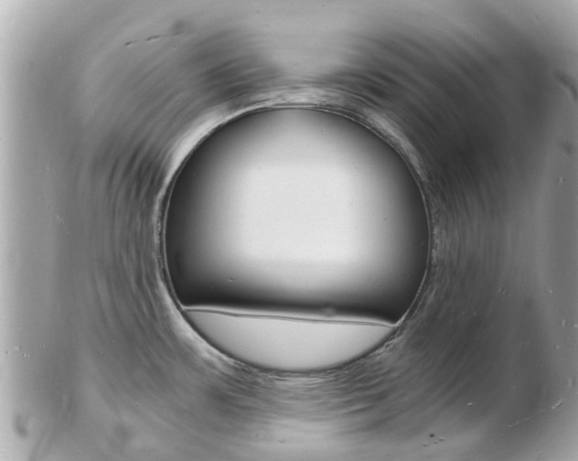 X0000103291483200808291057