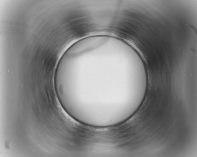 X0000103291484200808291057