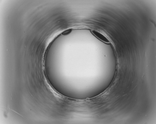 X0000103291485200808291057