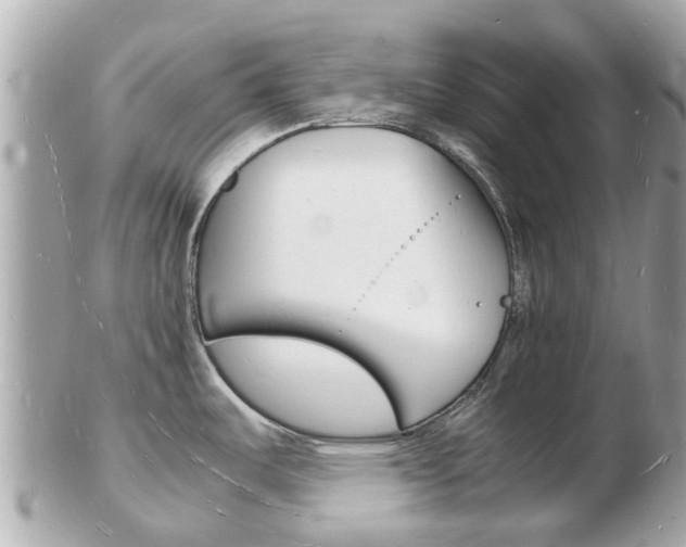 X0000103291487200808291057