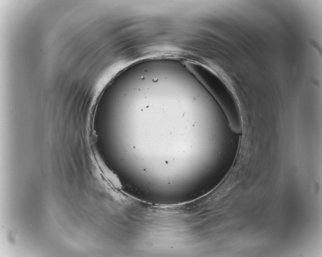 X0000103291488200808291057