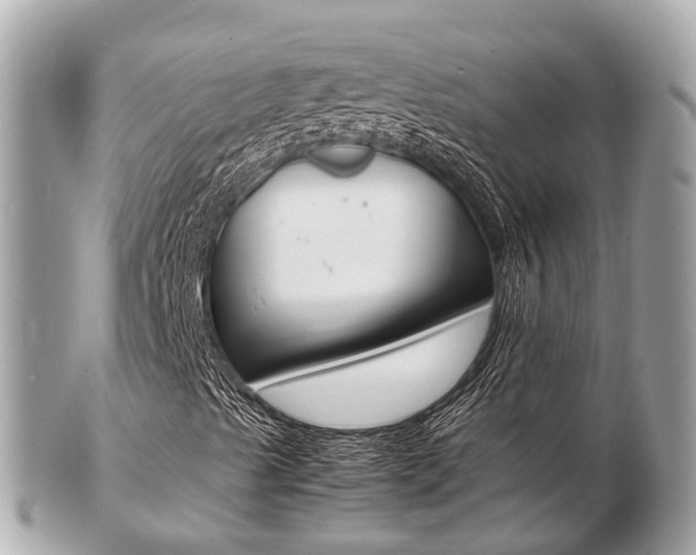 X0000103291489200808291056