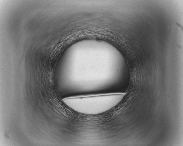 X0000103291490200808291056