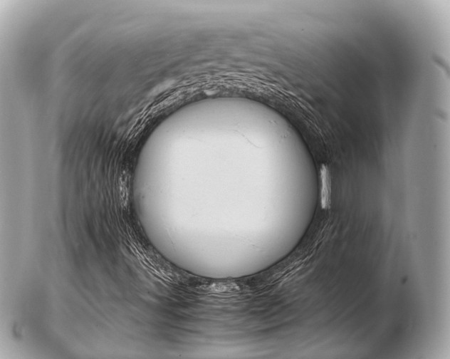X0000103291491200808291056