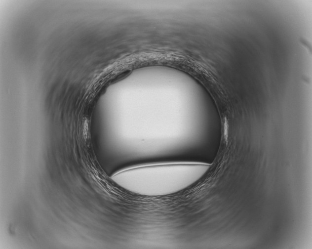 X0000103291492200808291056