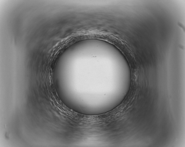 X0000103291493200808291056