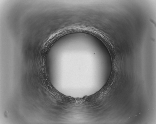 X0000103291494200808291056