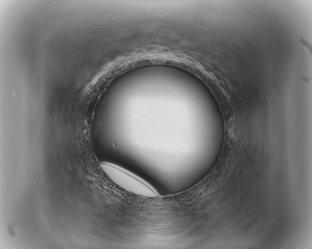 X0000103291495200808291056