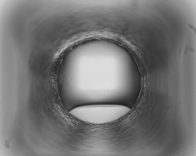 X0000103291496200808291056