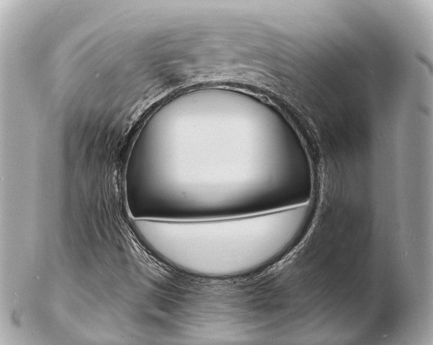 X0000103291497200808291056