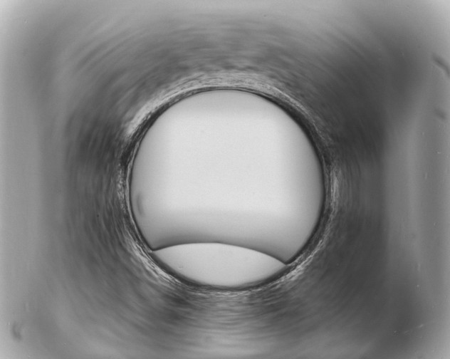 X0000103291498200808291056