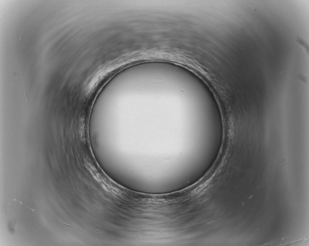 X0000103291499200808291056
