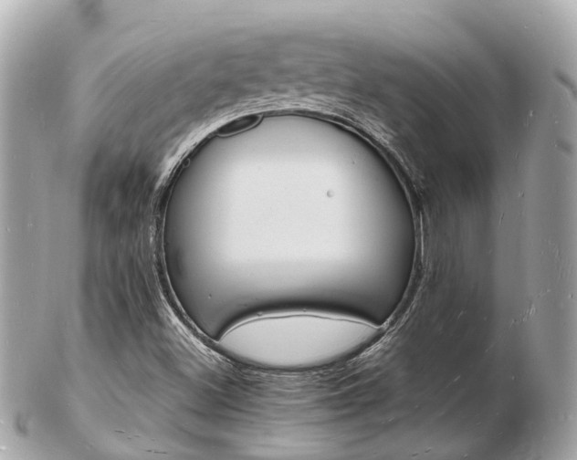 X0000103291500200808291056