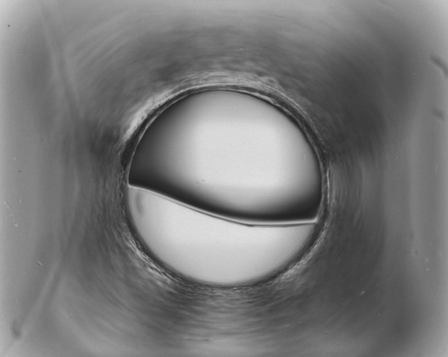 X0000103291501200808291056
