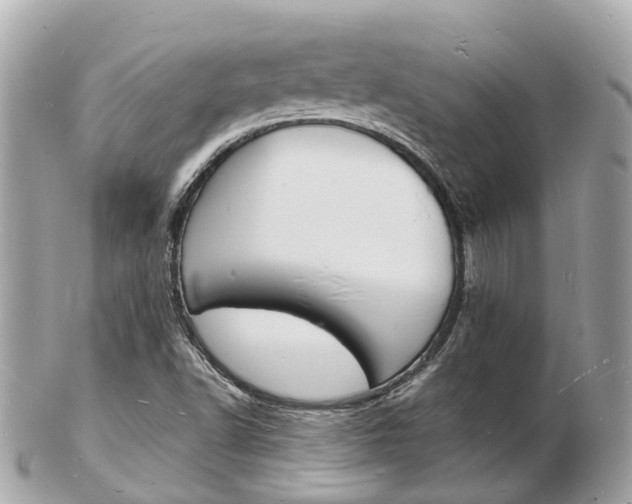 X0000103291502200808291056