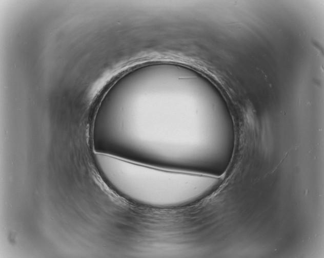 X0000103291503200808291056