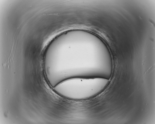 X0000103291504200808291056