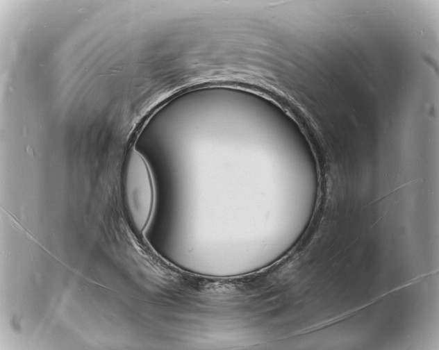 X0000103291505200808291056