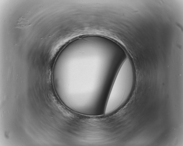 X0000103291507200808291056