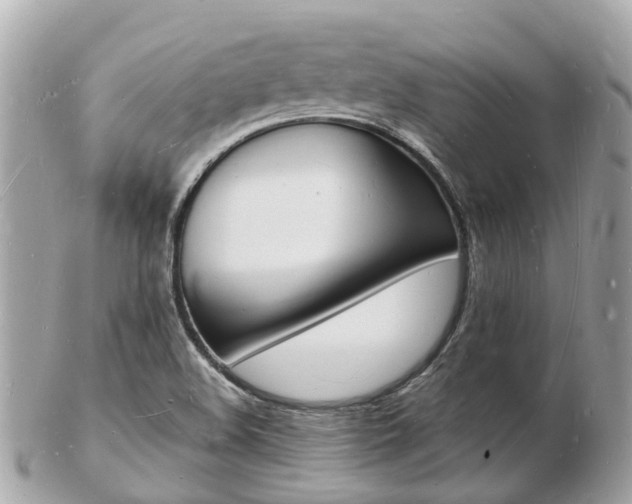X0000103291508200808291056