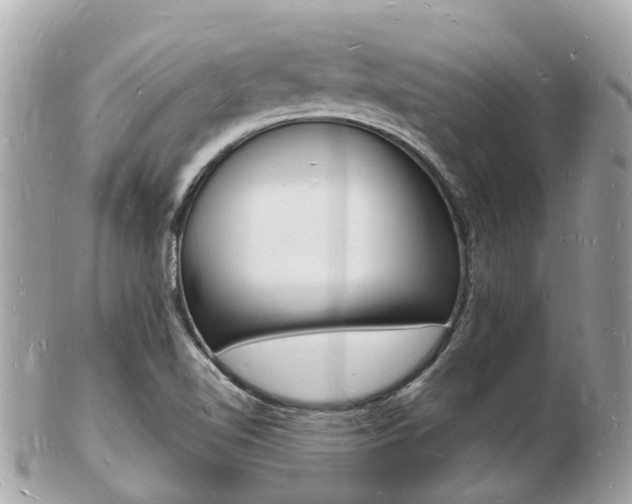 X0000103291510200808291056