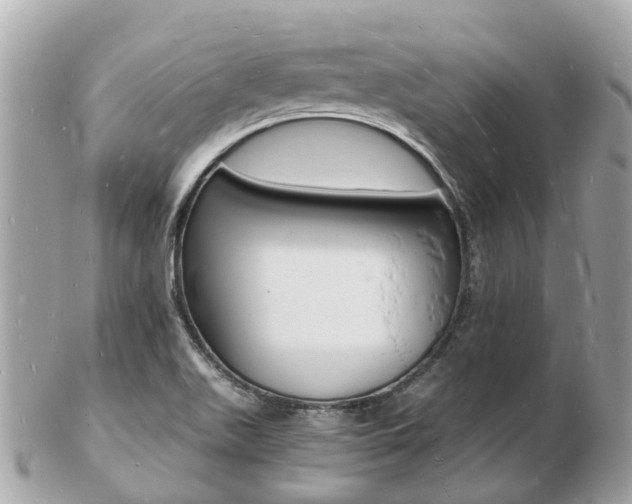 X0000103291511200808291056