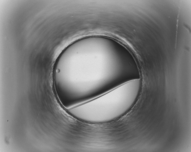 X0000103291512200808291056