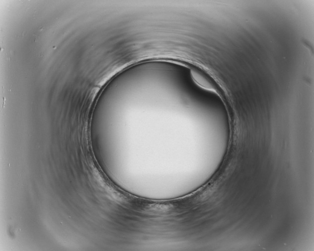 X0000103291513200808291056