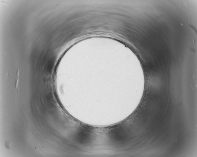 X0000103291514200808291056