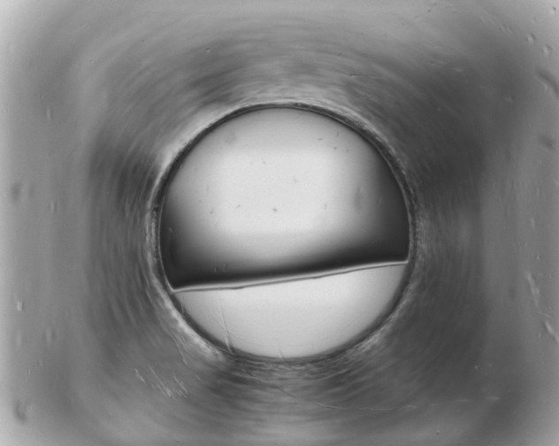 X0000103291517200808291056