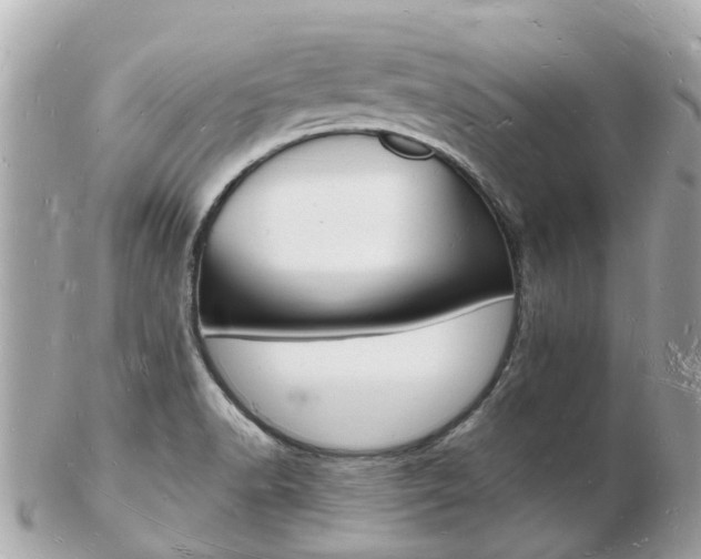 X0000103291518200808291056
