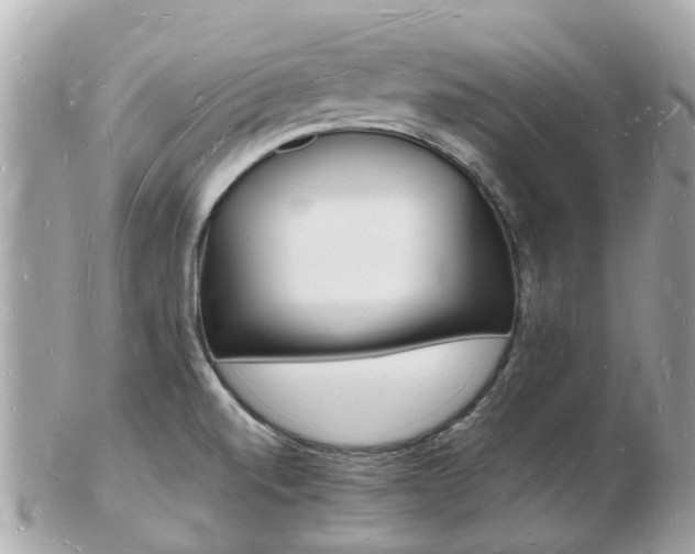 X0000103291520200808291056