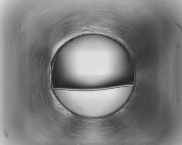 X0000103291522200808291056