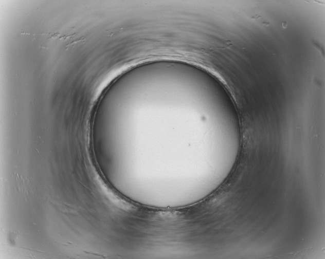 X0000103291523200808291057