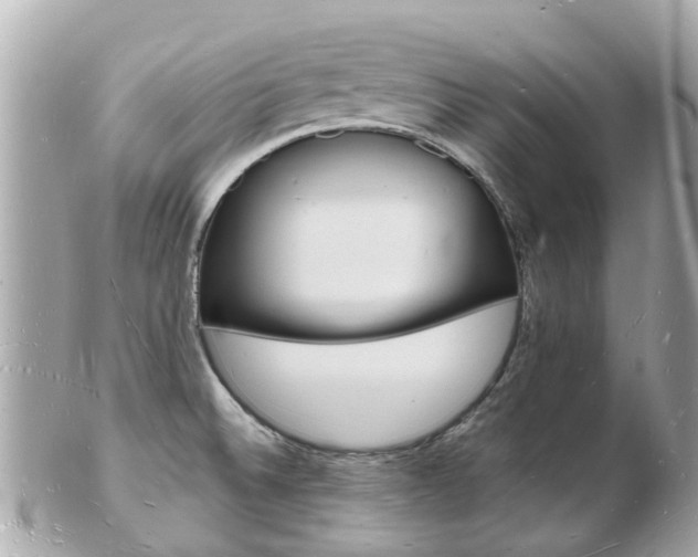 X0000103291524200808291057