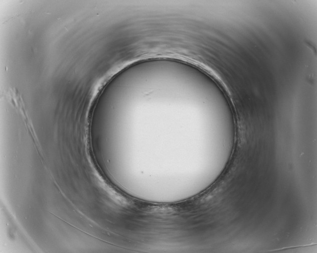 X0000103291525200808291057