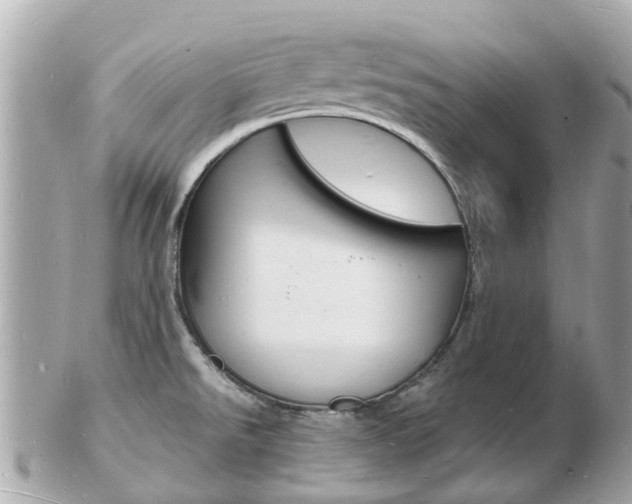 X0000103291526200808291057