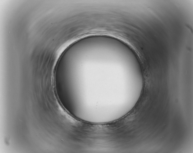 X0000103291527200808291057