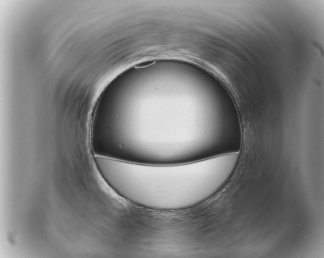 X0000103291528200808291057