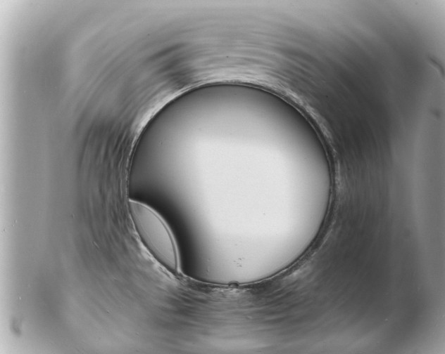 X0000103291529200808291057
